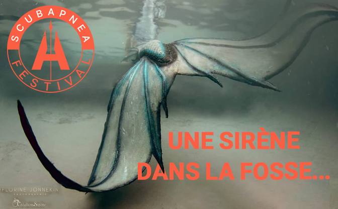  Une sirène… dans la fosse de Toulouse !